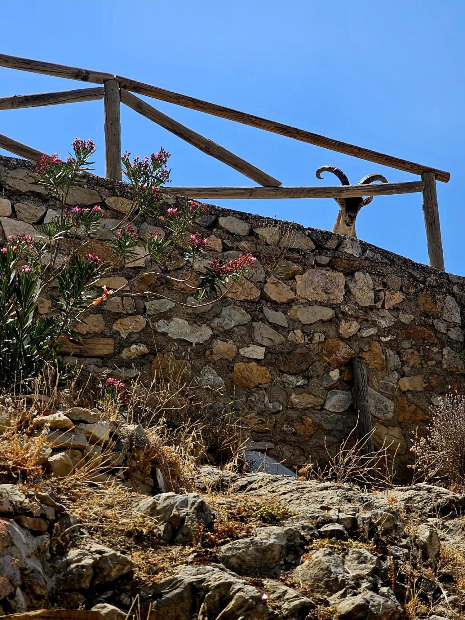 La Mocha Casa Rural La Casa De Ani La Iruela Exterior foto